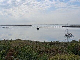 Bungalow Brouwershaven Omgeving 33