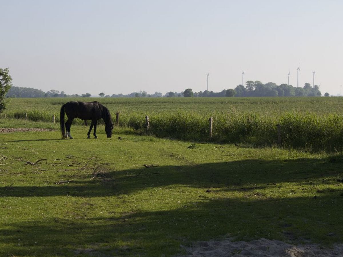 Yenna blinkt Ihre amateur Titten für uns Yenna blinkt Ihre amateur Titten für uns