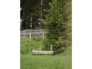 Brunnen auf der wiese