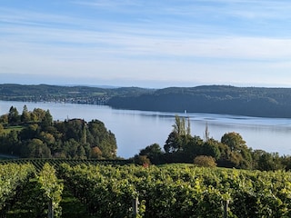 Bodensee