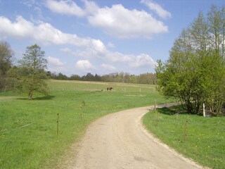 Jeden Tag neue Wege gehen