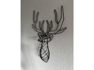 Vakantieappartement Hinterthal Kenmerken 17