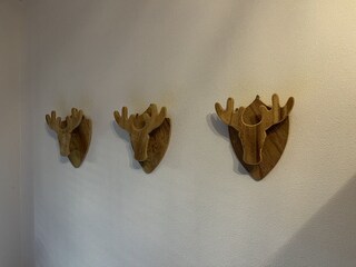 Appartamento per vacanze Hinterthal Caratteristiche 28