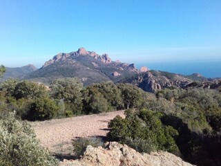 Lots of walking and biking trails