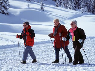Winterwandern im Sauerland
