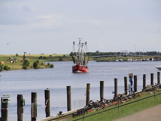 Ferienhaus Greetsiel Umgebung 21