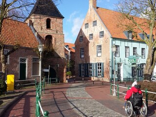 Ferienhaus Greetsiel Umgebung 23