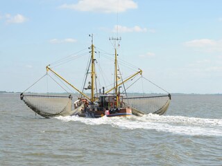 Krabbenfischer in der Nordsee