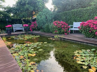 Vakantieappartement Julianadorp Buitenaudio-opname 6