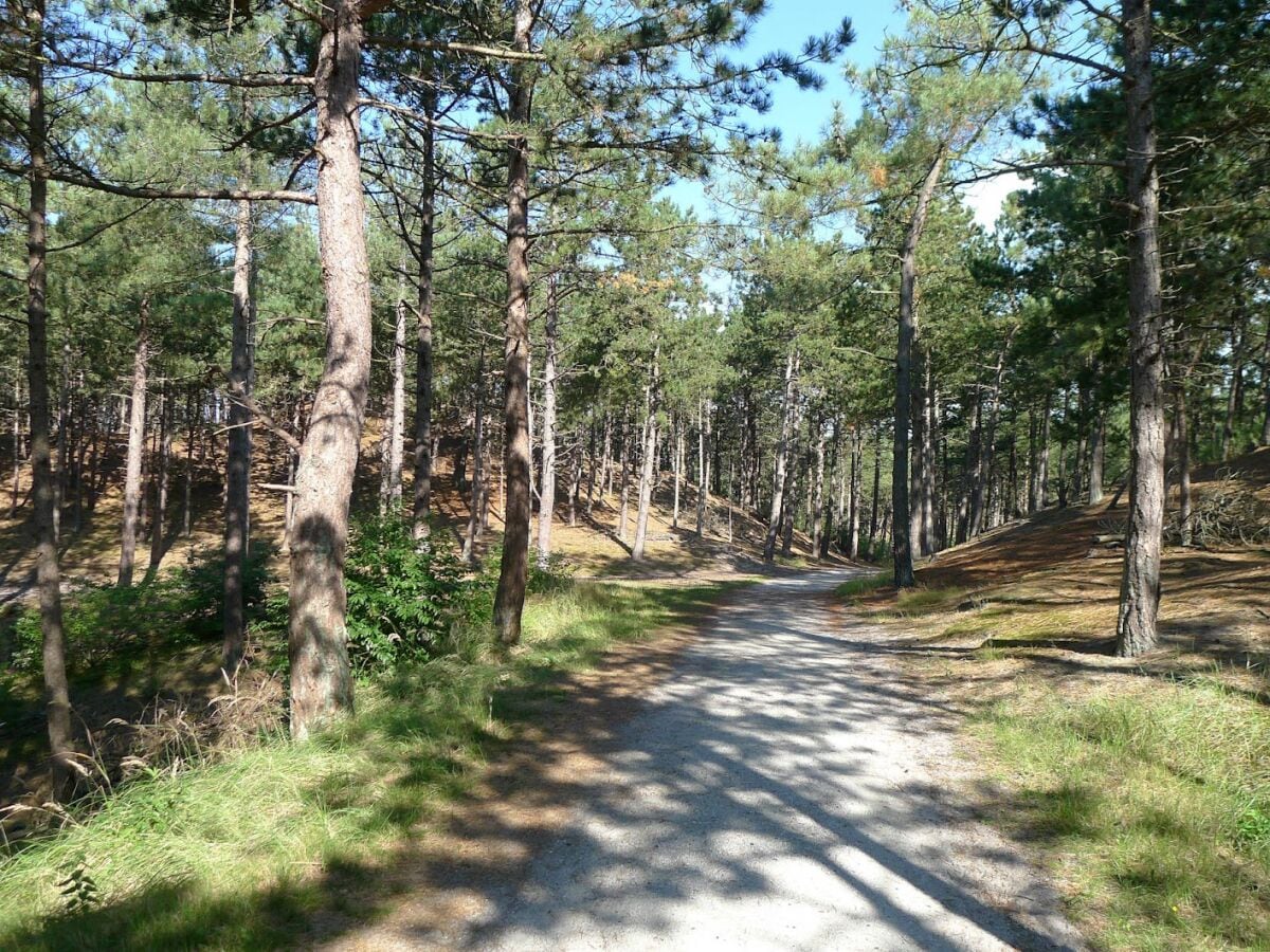 Schoorl - Duinen