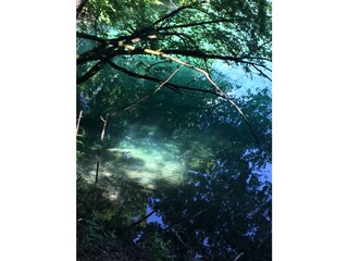 Appartamento per vacanze Privlaka Ambiente 27