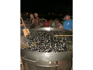 Vakantieappartement Privlaka Omgeving 29