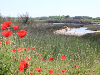 Appartamento per vacanze Privlaka Ambiente 24