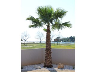 Vakantieappartement Privlaka Buitenaudio-opname 5