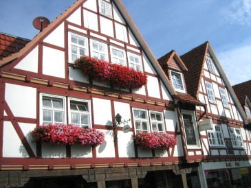 Holiday apartment Cheap app. in beautiful area near Edersee