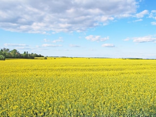 Holiday house Zislow Environment 32