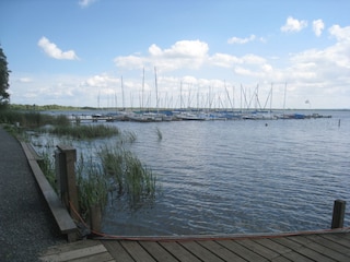 Steinhuder Meer