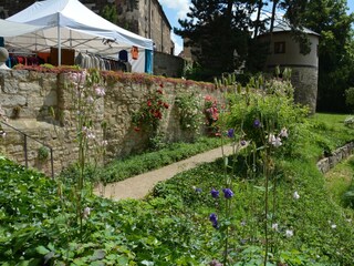 Domgarden