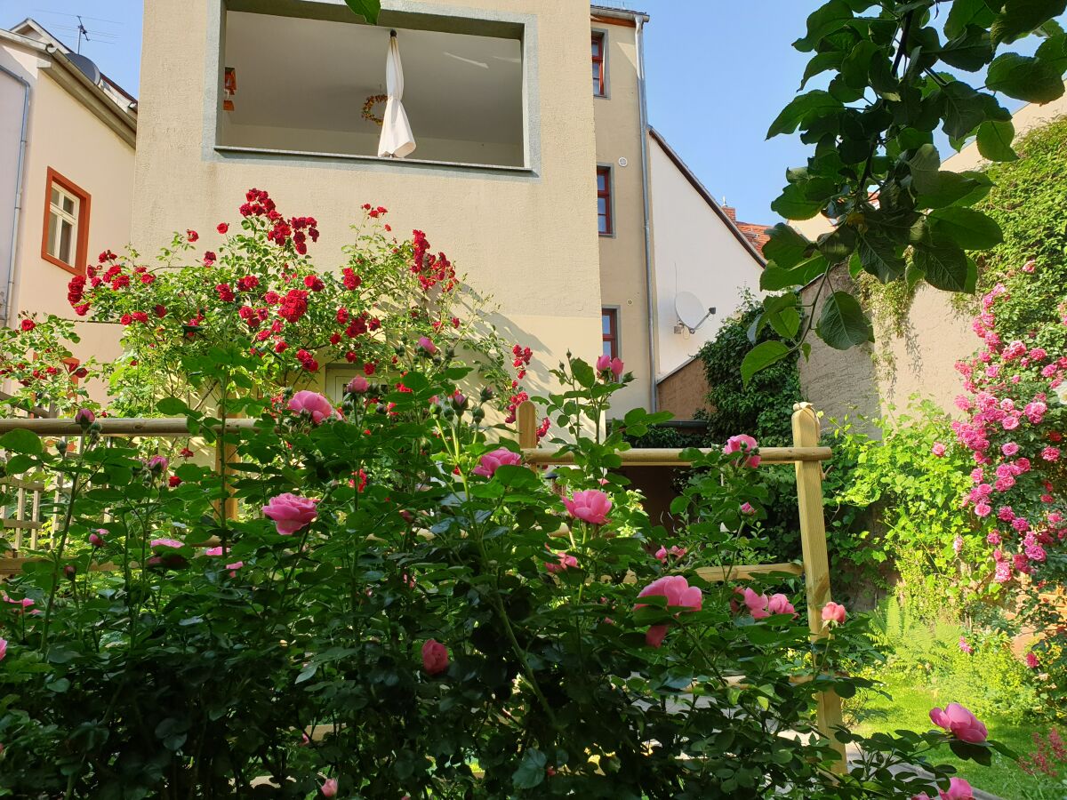 loggia and garden