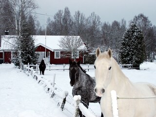 Casa de vacaciones Vimmerby Grabación al aire libre 12