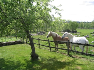 Vakantiehuis Vimmerby  26