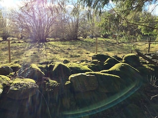 Vakantiehuis Vimmerby Omgeving 7