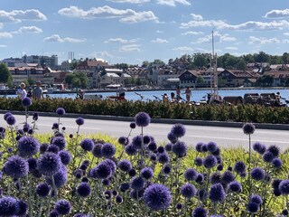 Casa de vacaciones Vimmerby Entorno 37