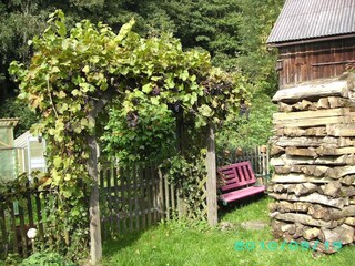 Appartamento per vacanze Waldmünchen Registrazione all'aperto 6