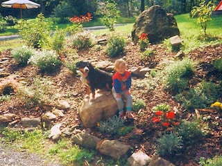 Spielwiese-Kind-Hund