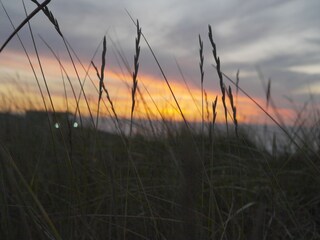 Ferienwohnung Domburg Umgebung 16
