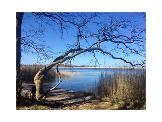 Bodden