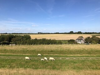 Schöne Landschaft der Halbinsel Eiderstedt