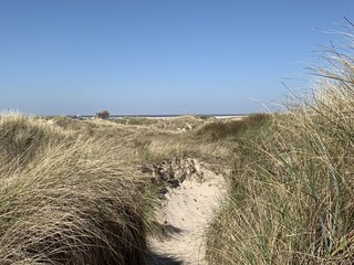 Dünenspaziergang Ordinger Strand