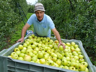 Appartamento Partschins Registrazione all'aperto 10