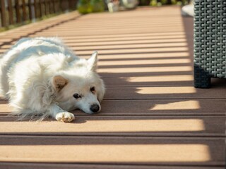 Appartamento Partschins Registrazione all'aperto 9