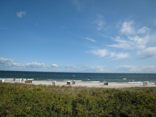 ...verbringen Sie Ihren Urlaub an der schönen Ostsee