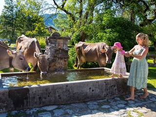 Dorfer Weiher in Pfronten