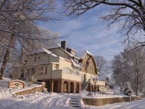 Ferienwohnung Haus Elsenhöhe am See Appartement - Flecken Zechlin - image1