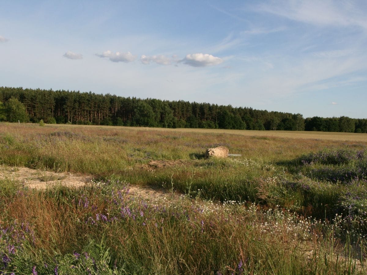 Hinter dem Sonnenhügel