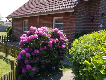 Ferienwohnung Im Storchennest
