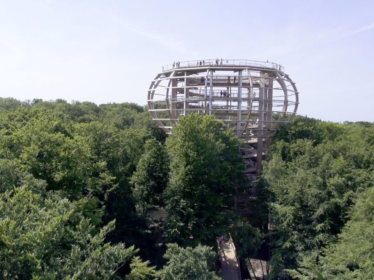 Naturerbezentrum mit Baumwipfelpfad