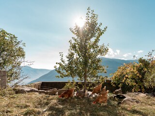 Appartamento Partschins Registrazione all'aperto 12