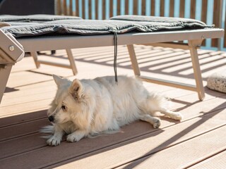 Appartamento Partschins Registrazione all'aperto 9