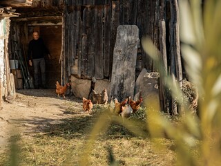 Appartamento Partschins Registrazione all'aperto 10