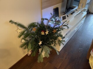 Weihnachtszeit