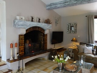 Living room with chimney and large TV