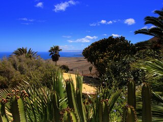 Tenuta La Asomada Registrazione all'aperto 6