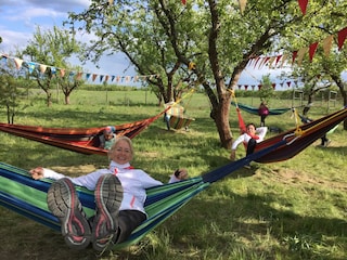 Baumblütenfest auf den Obsthöfen in der Umgebung