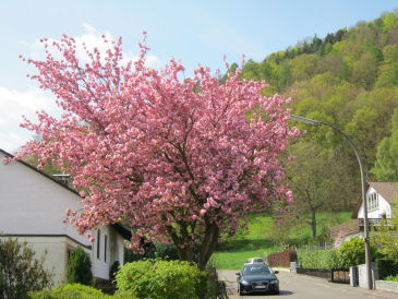 Ferienwohnung im Haus Spessartblick