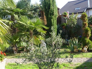 our garden